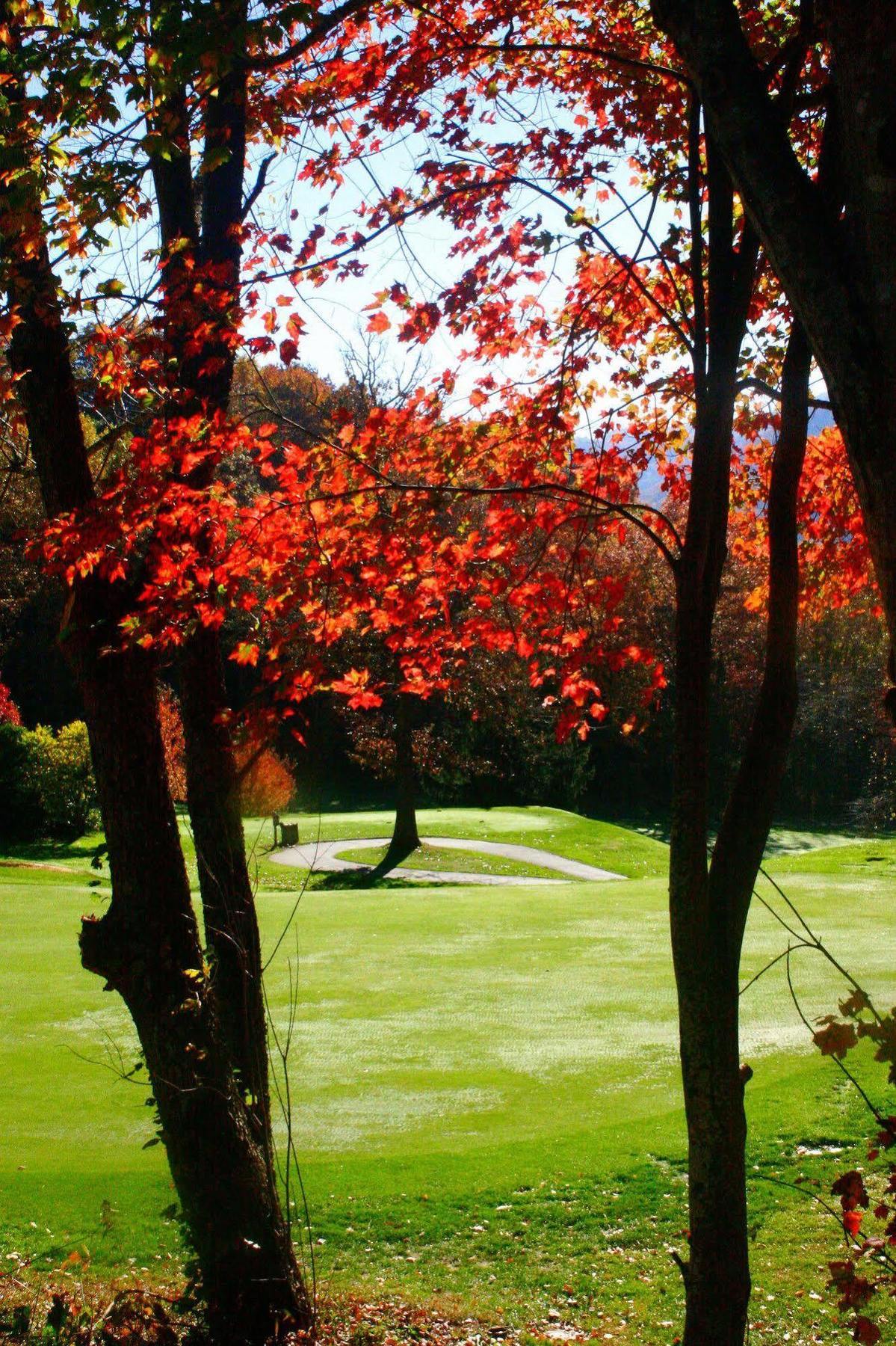Peppertree Maggie Valley Aparthotel Bagian luar foto